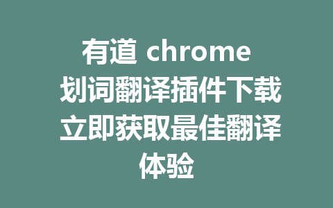 有道 chrome 划词翻译插件下载 立即获取最佳翻译体验